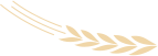 ΢ͼƬ_20240829161332_1.png